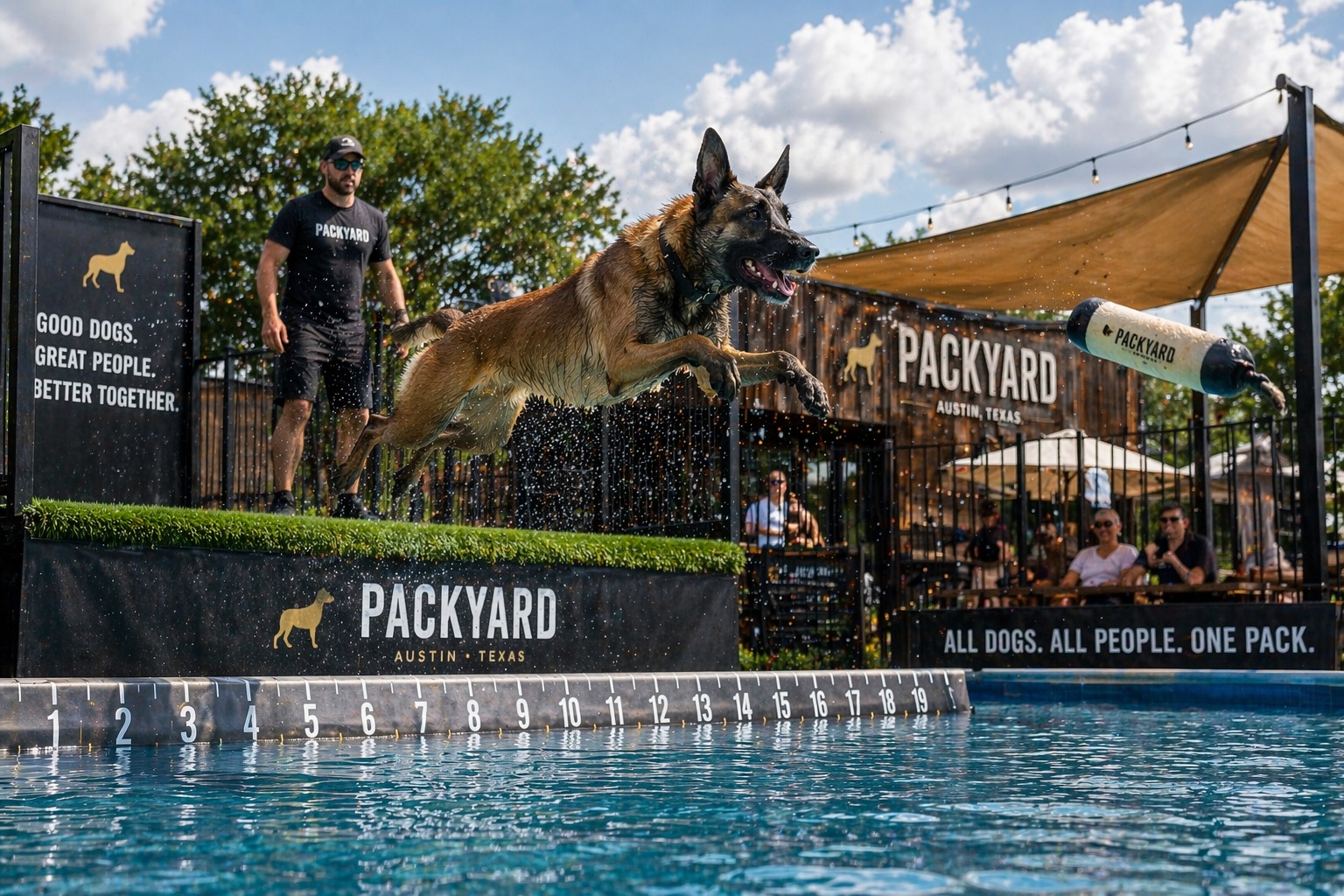 Dock diving pool with Vizsla mid-leap